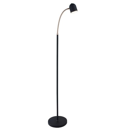 Lite Source Tiara Black and Brass LED Gooseneck Floor Lamp