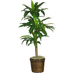 Silk 48-inch Real Touch Plant Green