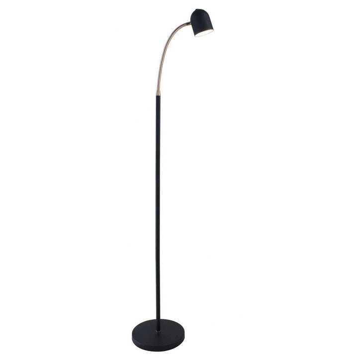 Lite Source Tiara Black and Brass LED Gooseneck Floor Lamp