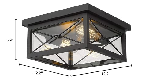 Light Flush Mount Light Black Modern Contemporary Iron Energy Efficient