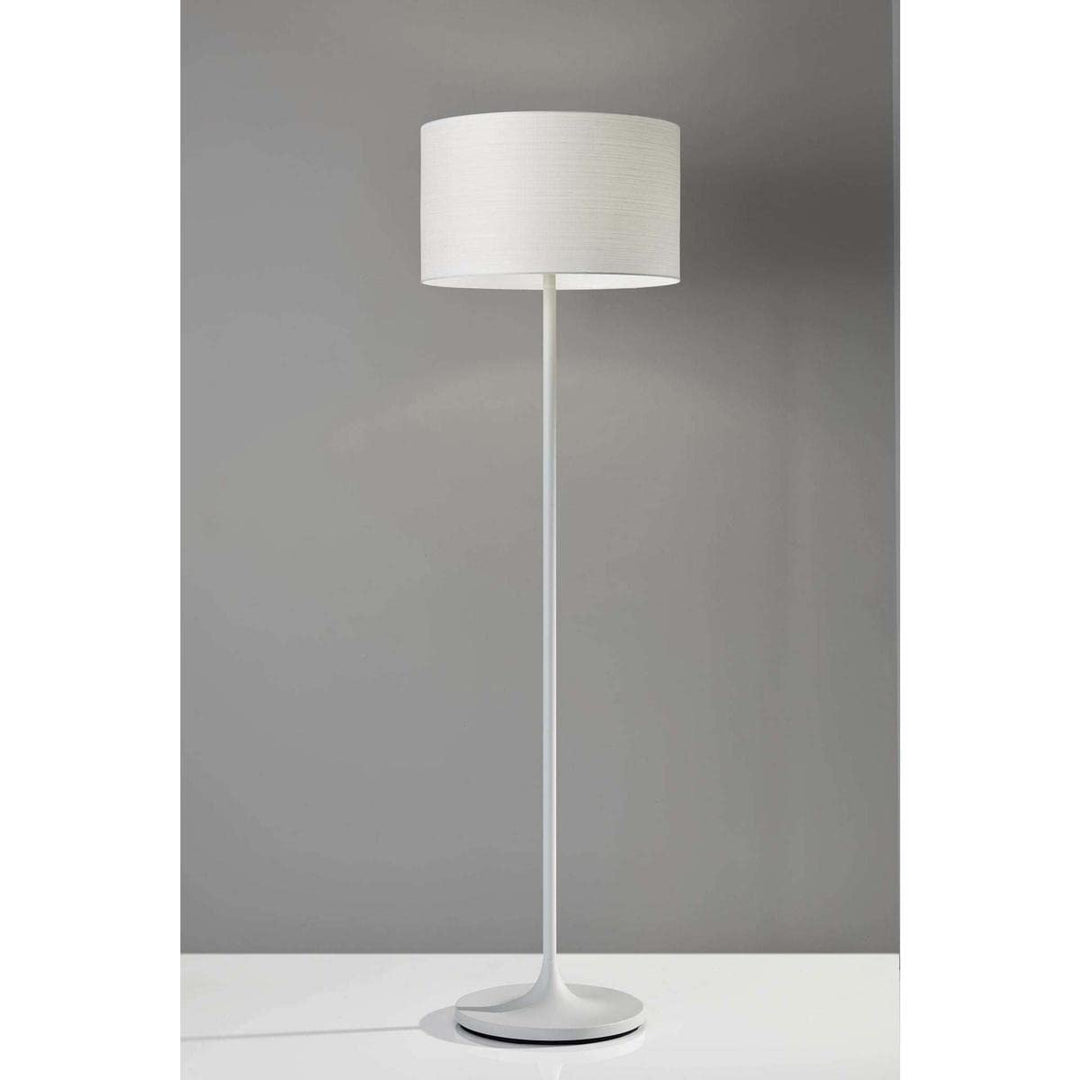 Adesso Home 6237-02 Transitional One Light Floor Lamp from Oslo Collection