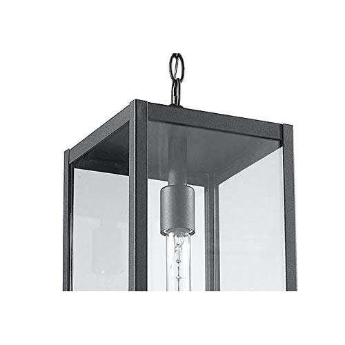 Clear Glass Outdoor Hanging Black Light Modern Contemporary Aluminum