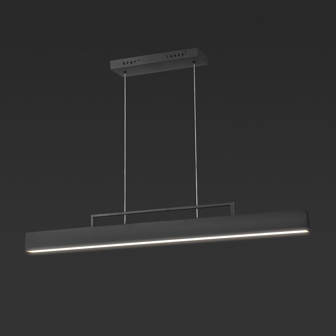 Collection 57" Linear Light 42" W X 5" D H Black Modern Contemporary Acrylic