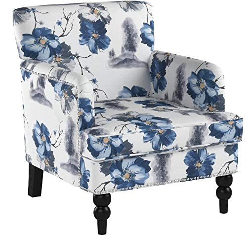 Christopher Knight Home Boaz Fabric Club Chair - Floral Print