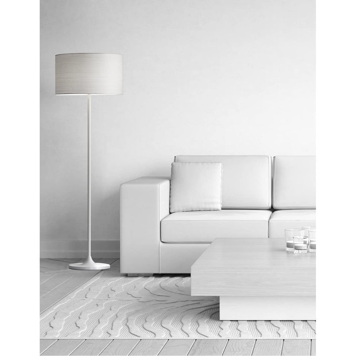 Adesso Home 6237-02 Transitional One Light Floor Lamp from Oslo Collection