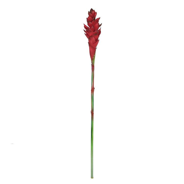 Set of 3 Real Touch Red Artificial Ginger Flower Stem Tropical Spray 31in 31"