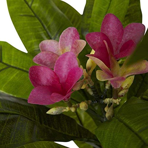 Nearly Natural Green 5394 5ft. Plumeria Tree UV Resistant (Indoor/Outdoor) 60.5"