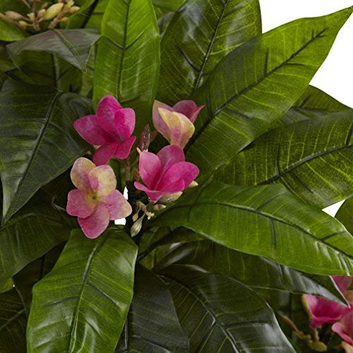 Nearly Natural Green 5394 5ft. Plumeria Tree UV Resistant (Indoor/Outdoor) 60.5"