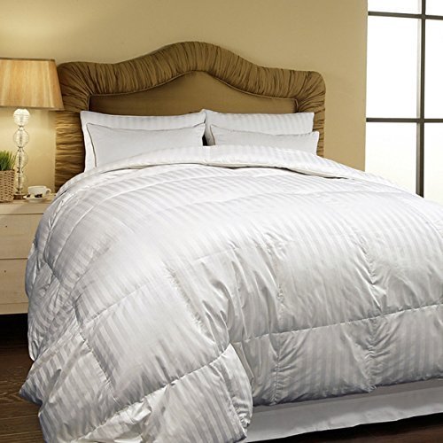 Hotel Grand Oversized 500 Thread Count All-season Siberian White Down Comforter- Twin