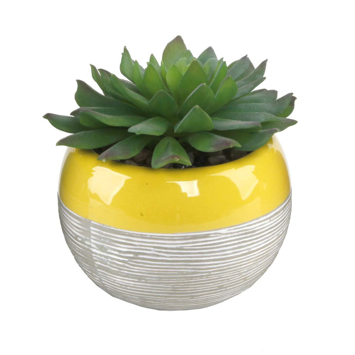 Flora Bunda Artificial Succulent in Two Tone Lines Pattern Ceramic Pot Yellow 4"