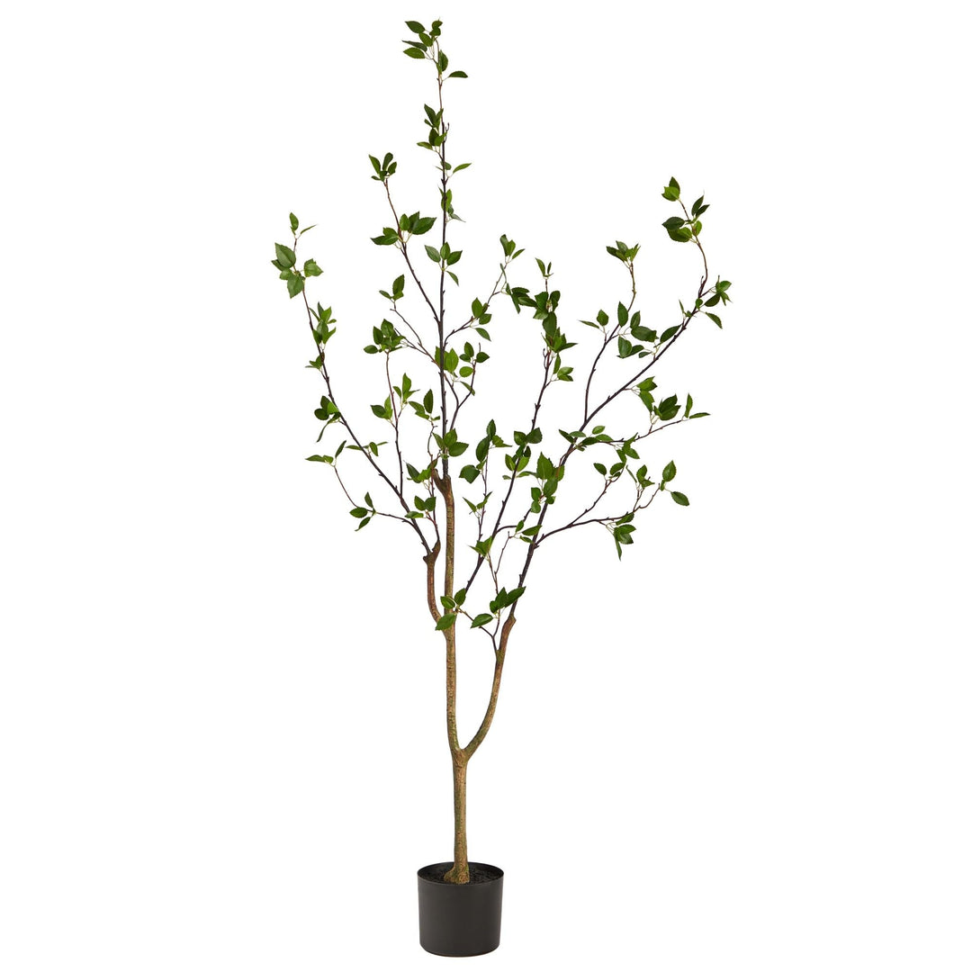 5' Minimalist Citrus Artificial Tree Black