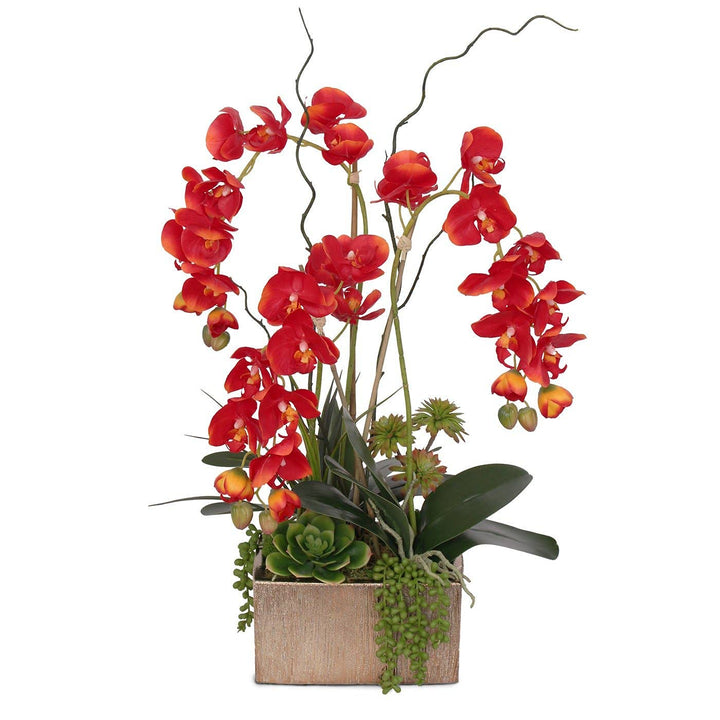 Jenny Silks Real Touch Red Phalaenopsis Orchids Succulents and Curly Willow