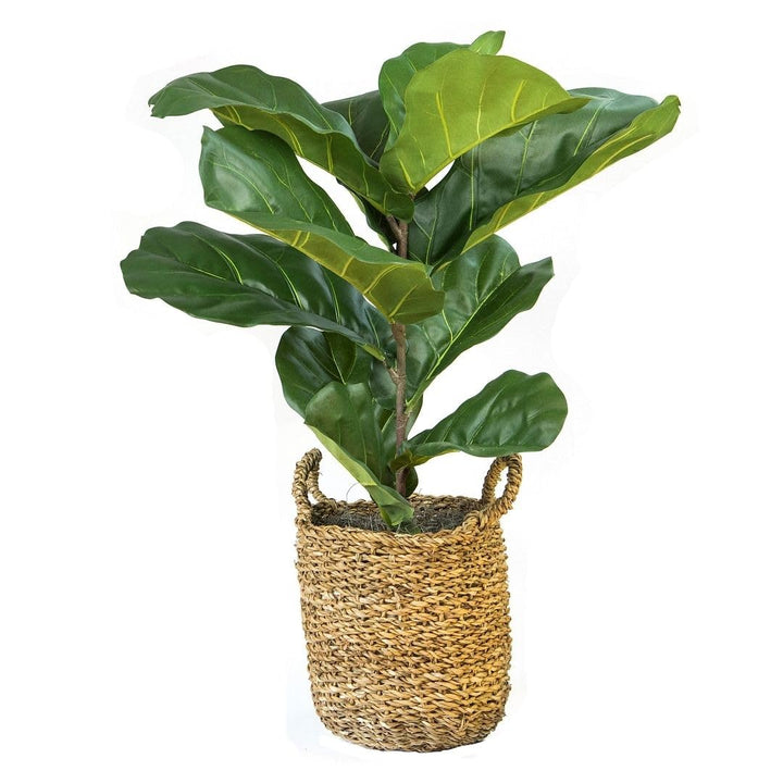 3-Foot Artificial Leaf Fig Plant in Basket Green