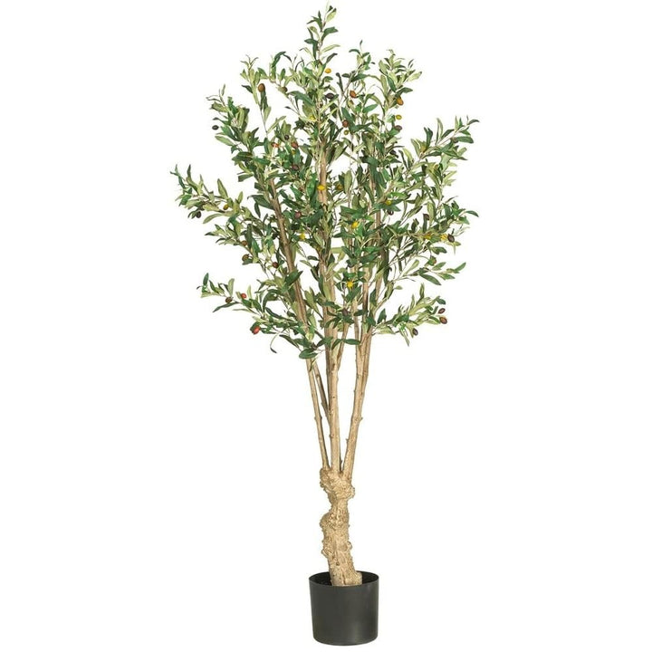 Nearly Natural 5258 Olive Silk Tree 5-Feet Green 30 x 30 x 55 inches