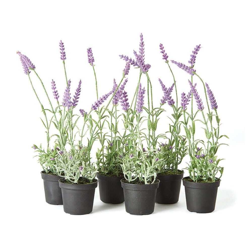 French Lavender Drop-in 13" Set of 6 Purple