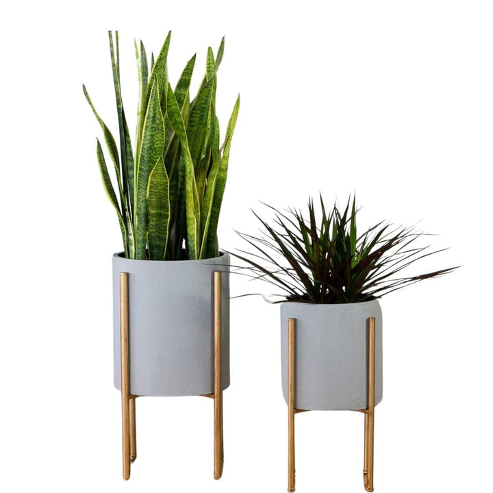 Aspire Mid-Century Modern Planter Set of 2 Gray Indoor Plant Pots with Golden