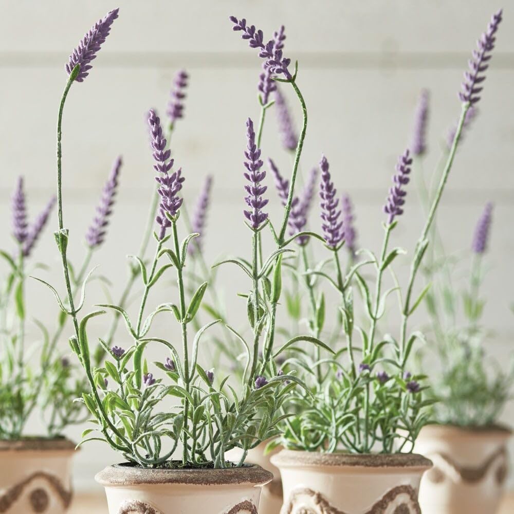 French Lavender Drop-in 13" Set of 6 Purple