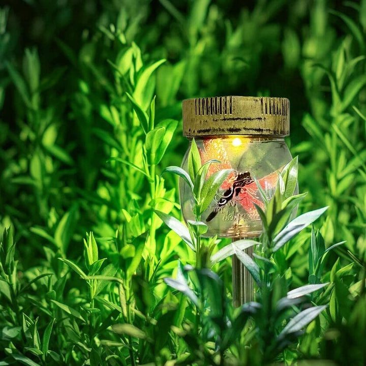 Dragonfly in A Jar Solar Stake Lights Set of 3 Multi Color Glass Energy