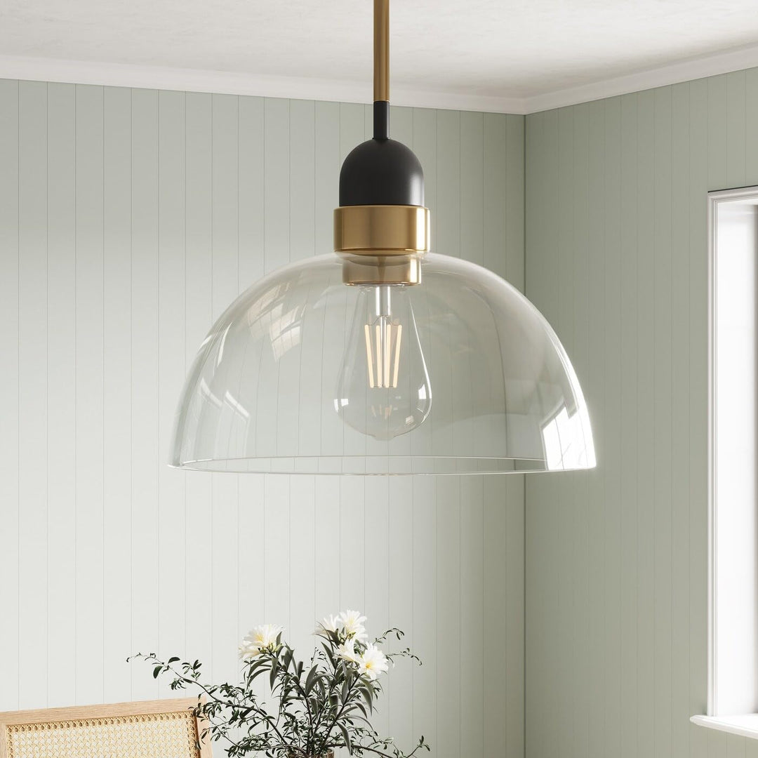 Industrial Matte Black Glass Shade Light with Brass Finish Iron Dimmable