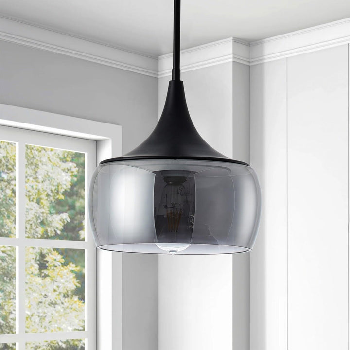 Matte Black 1-light Dome Light with Smoke Grey Glass Shade Modern Contemporary