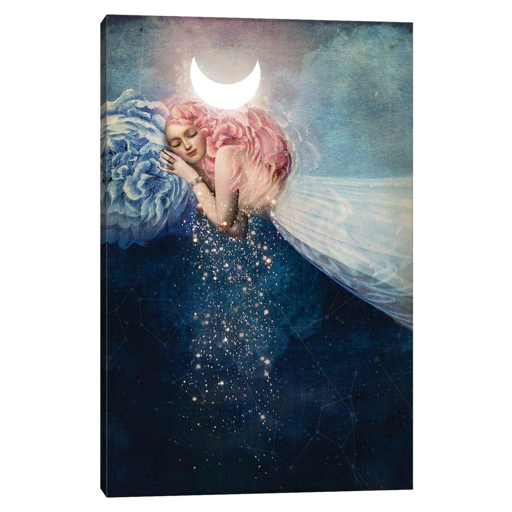 iCanvas CWS26 The Sleep Print by Catrin Welz-Stein 12" x 8" x 0.75" Depth 12x8x0.75