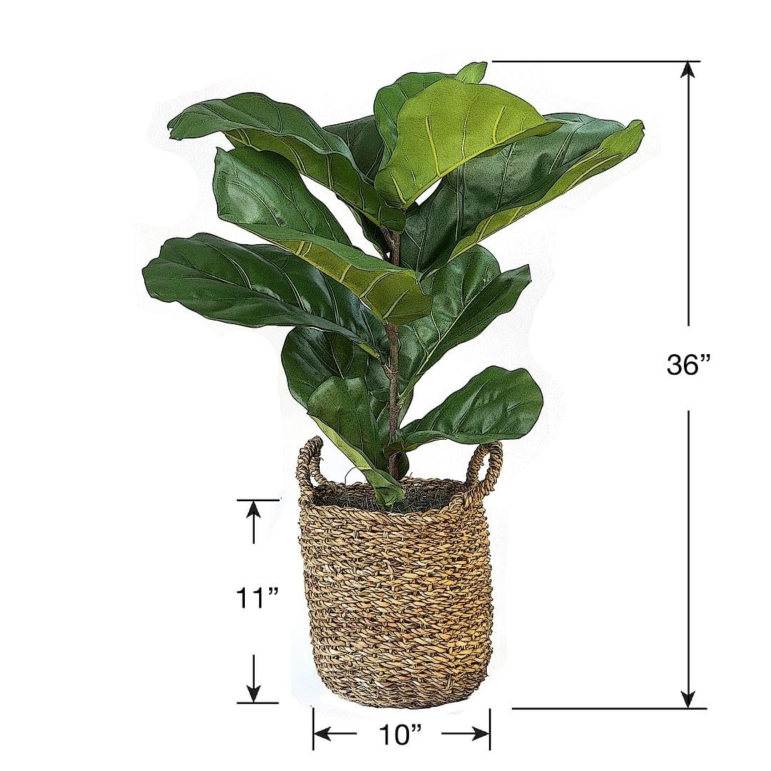 3-Foot Artificial Leaf Fig Plant in Basket Green - Diamond Home USA