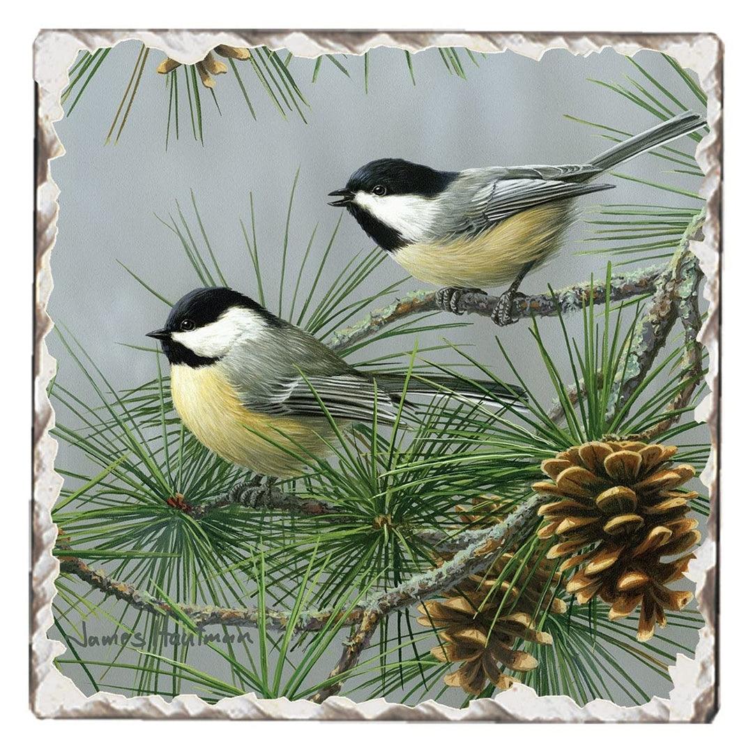 Coasters Chickadees #2 Set of 4 4x4x5 Sandstone