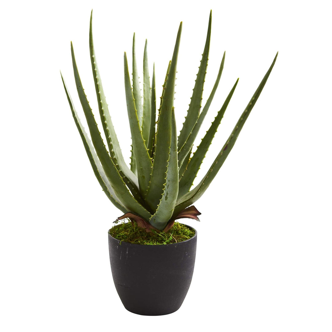 Aloe Artificial Plant (Set of 2) - Diamond Home USA