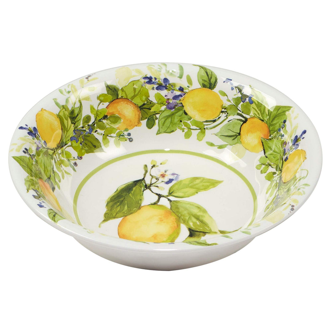 Lemon 12 Pieces Dinnerware Set Green Multi Color Yellow Fruit Country