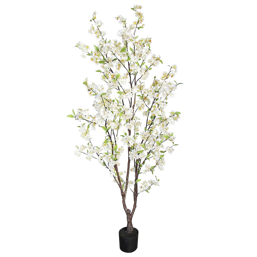 5.5ft Cherry Blossom Flower Tree in Pot 66" H X 34" W 32" Dp White