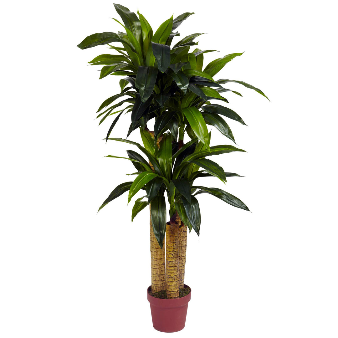 Nearly Natural 4. Corn Stalk Dracaena Silk (Real Touch) Artificial Plant 4