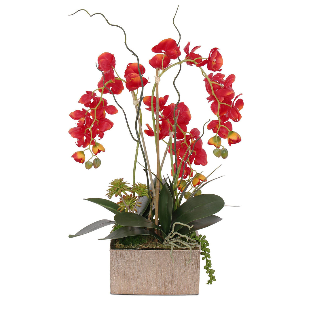 Jenny Silks Real Touch Red Phalaenopsis Orchids Succulents and Curly Willow