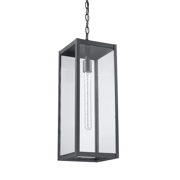 Clear Glass Outdoor Hanging Black Light Modern Contemporary Aluminum