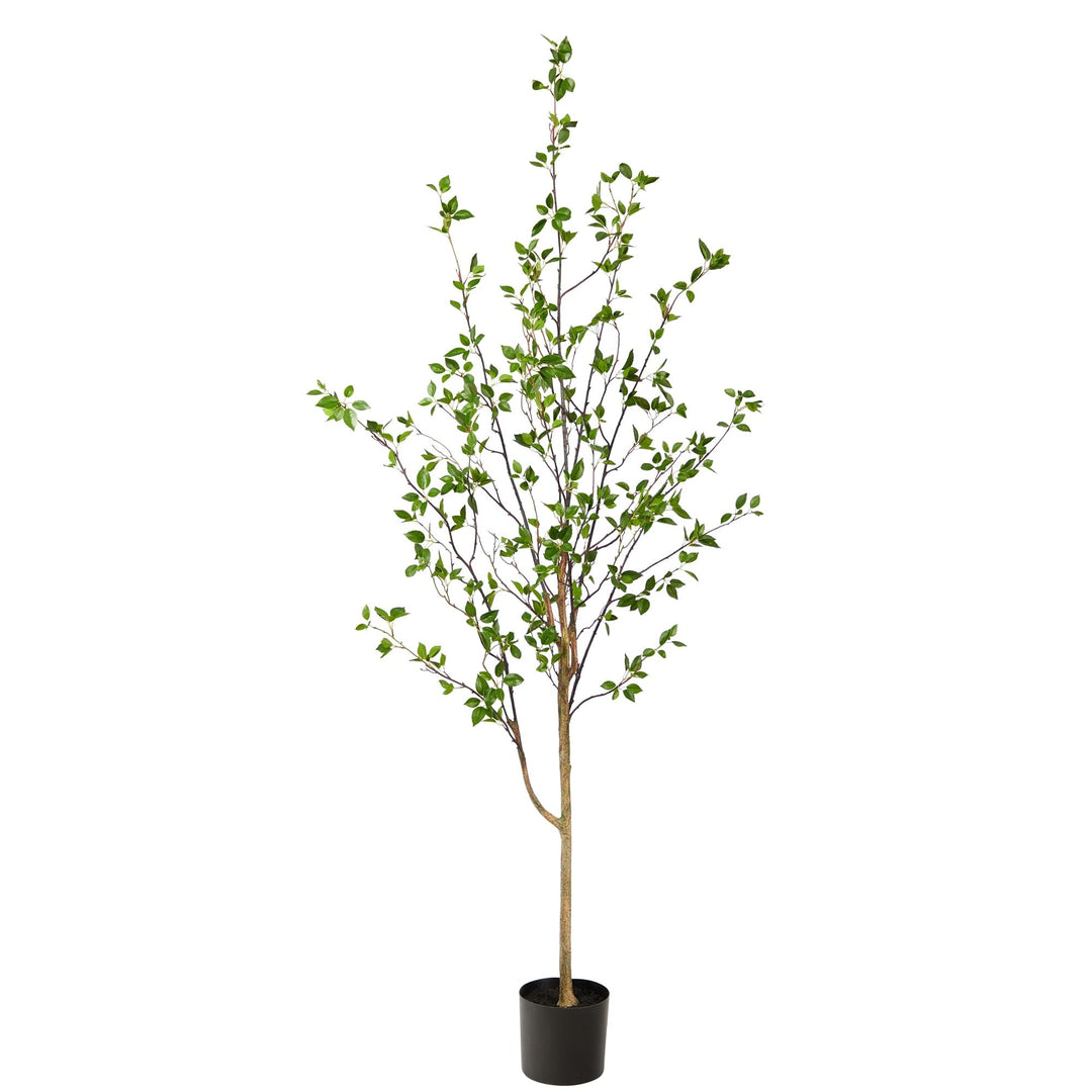 6.5' Minimalist Citrus Artificial Tree 6.5 Black