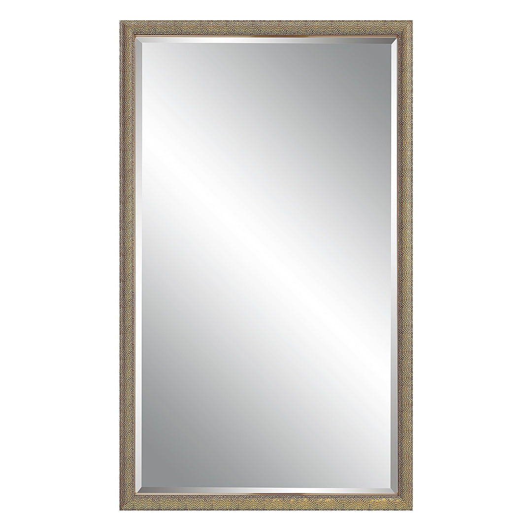 24 X 40 in. Brown Rectangular Mirror 24" W 40" H 1.38" D Modern