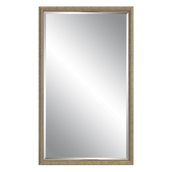 24 X 40 in. Brown Rectangular Mirror 24" W 40" H 1.38" D Modern