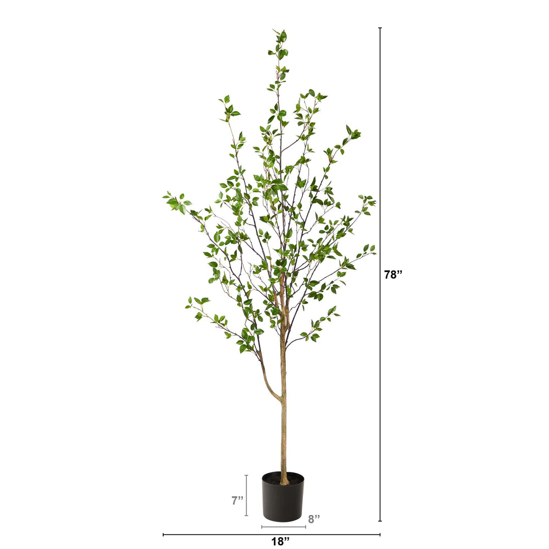 6.5' Minimalist Citrus Artificial Tree 6.5 Black