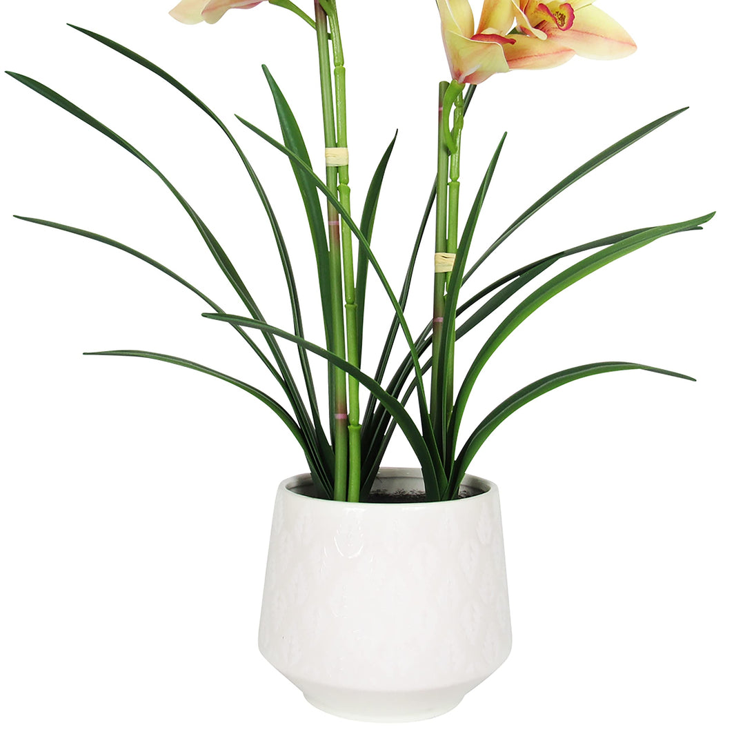 Orchid Flower Arrangement 2 Stem in Leaf Pattern Ceramic Pot 24in 24" H X 18"