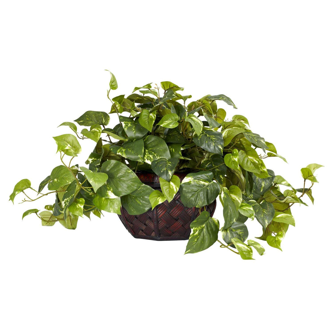 Green Pothos Plant Floral Indoor Palmtree in Planter Botanical Epipremnum Aureum