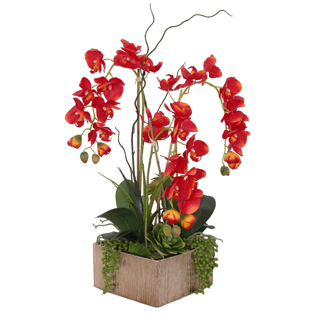 Jenny Silks Real Touch Red Phalaenopsis Orchids Succulents and Curly Willow