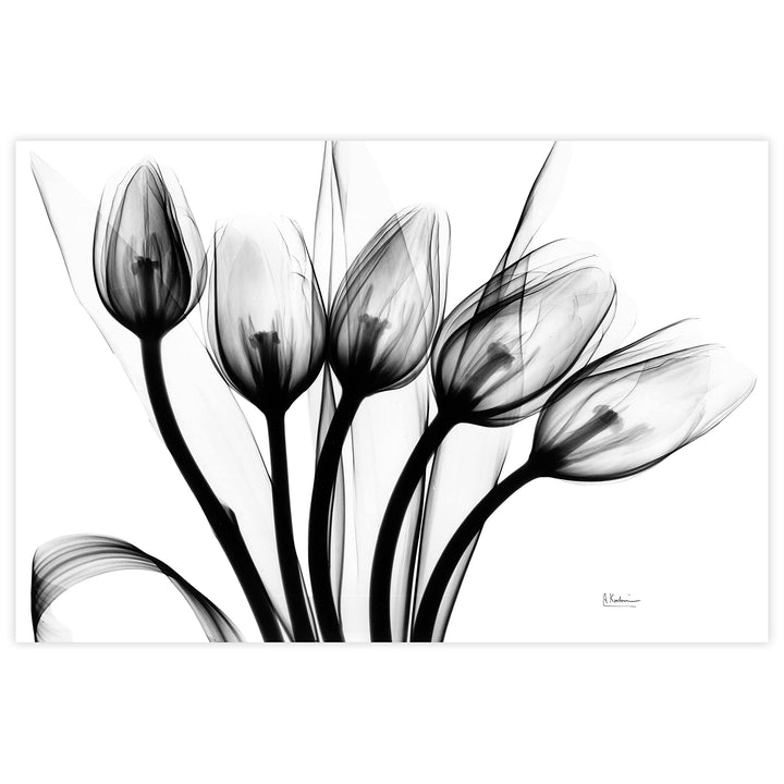 Marching Tulips Frameless Free Floating Tempered Glass Panel aphic Wall Art