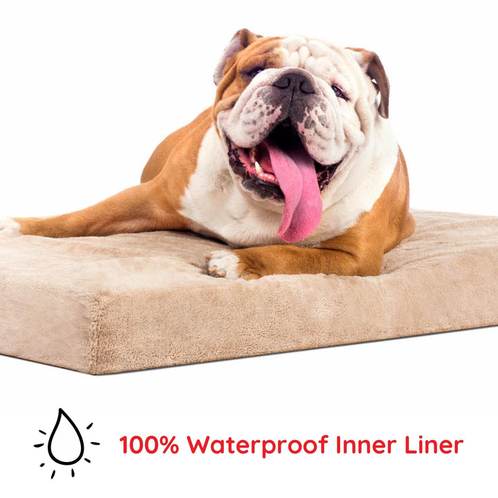 BRINDLE Waterproof Memory Foam Pet Bed - Removable and Washable Cover - 4 Inch