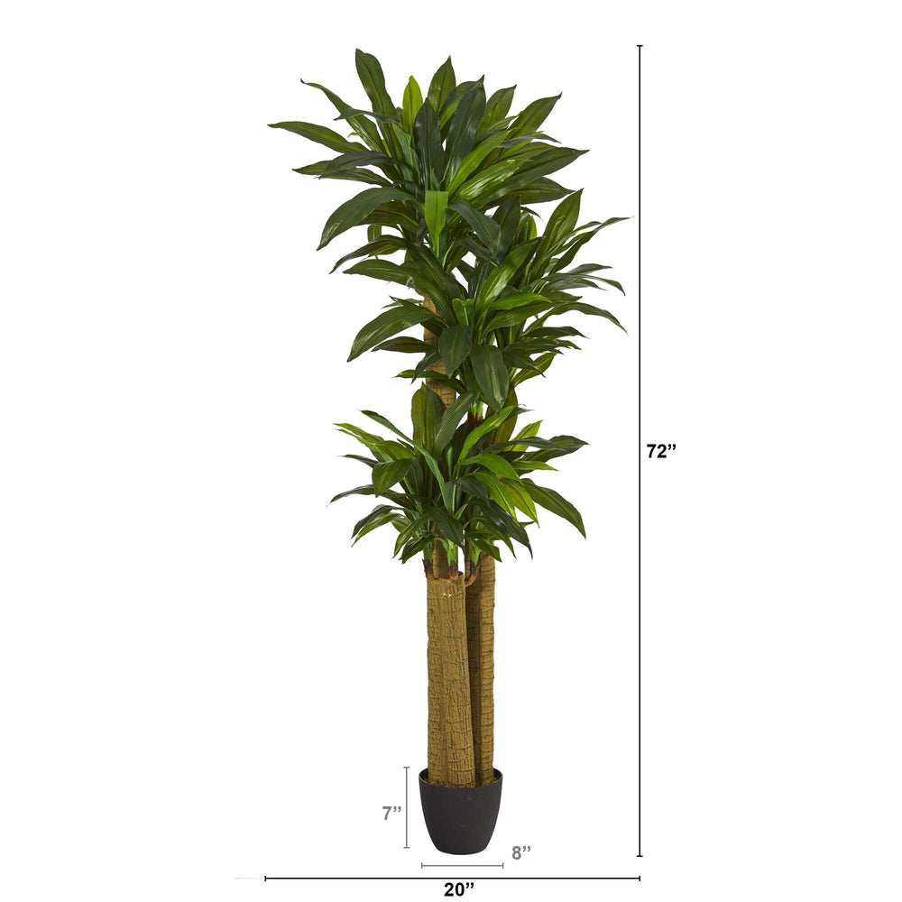 6' Corn Stalk Artificial Plant (Real Touch) Green - Diamond Home USA