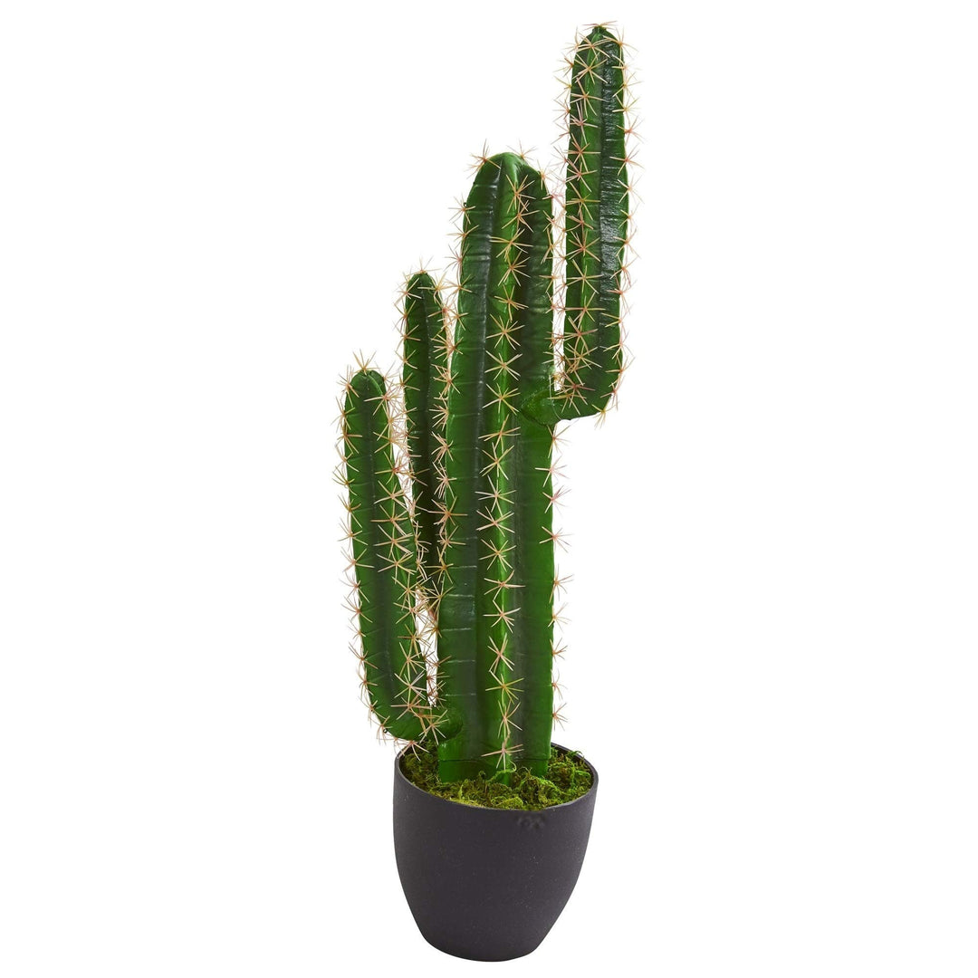 3' Cactus Artificial Plant H: 3 Ft. W: 8 in. D: in