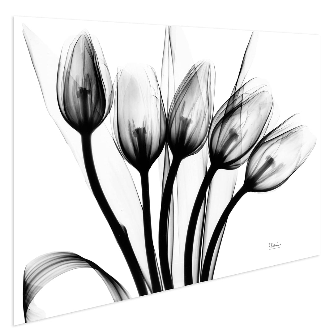 Marching Tulips Frameless Free Floating Tempered Glass Panel aphic Wall Art