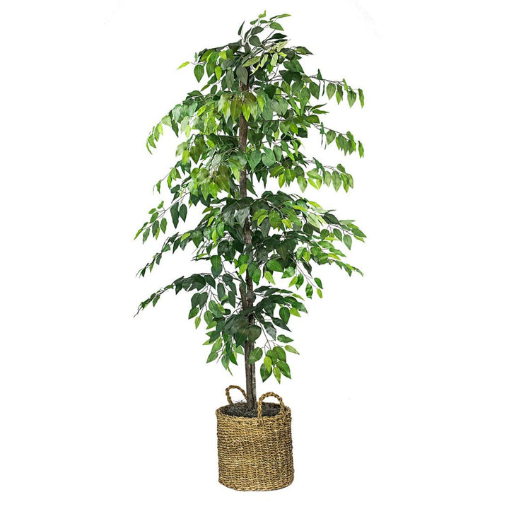 72" Green and Brown Ficus Artificial Tree in Basket