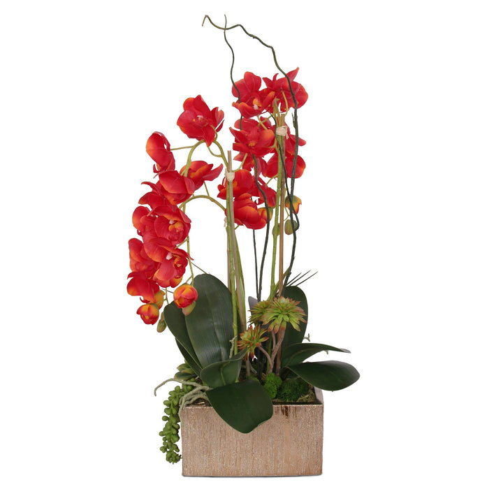 Jenny Silks Real Touch Red Phalaenopsis Orchids Succulents and Curly Willow