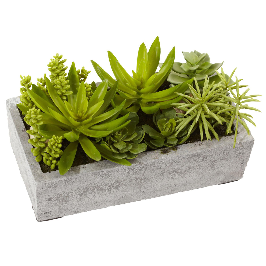 Nearly Natural Home Indoor Decorative Tabletop Succulent Garden with Concrete