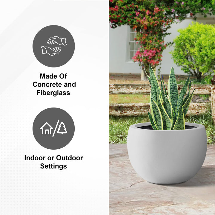 PLANTARA Round Concrete/Fiberglass Indoor & Outdoor Lightweight Decorative Plant