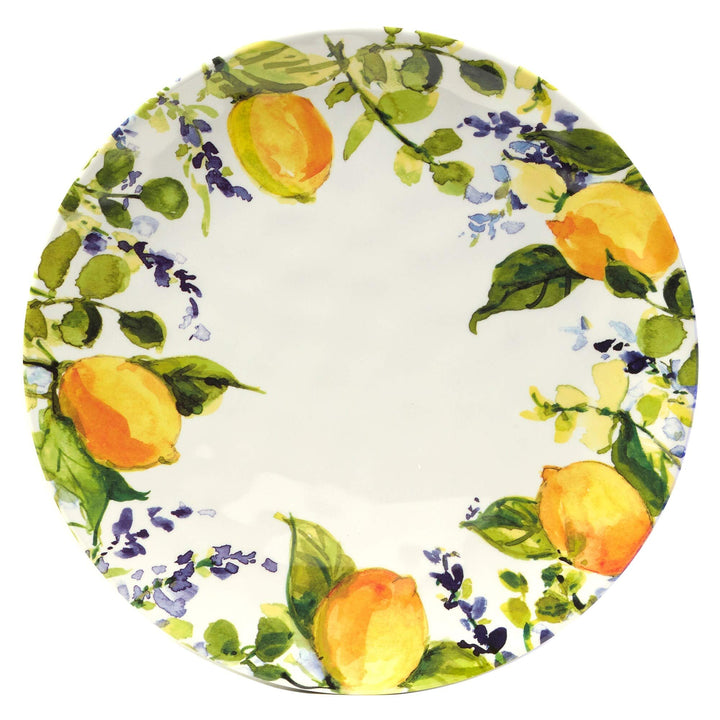 Lemon 12 Pieces Dinnerware Set Green Multi Color Yellow Fruit Country